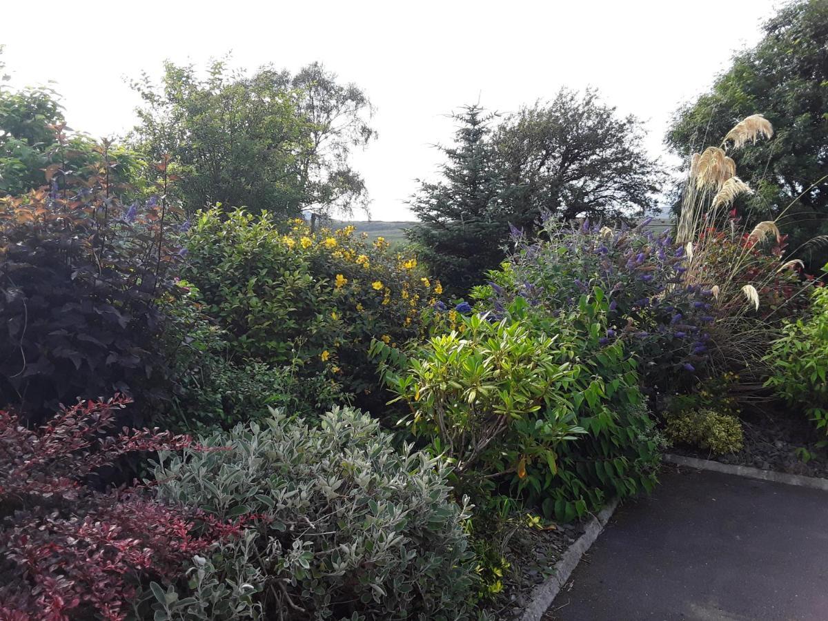 Ard Na Greine Bed & Breakfast Ballylickey Экстерьер фото